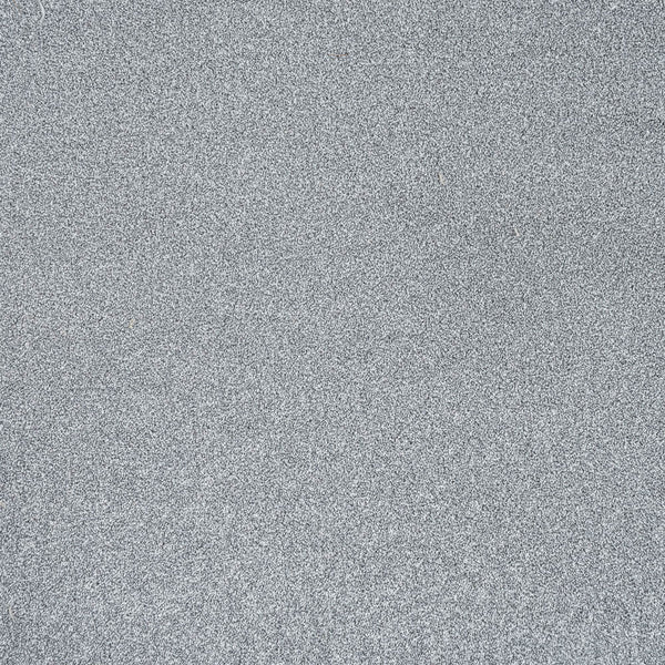 Silver Birch 11 Stainfree Rustique Saxony Carpet | Online Carpets