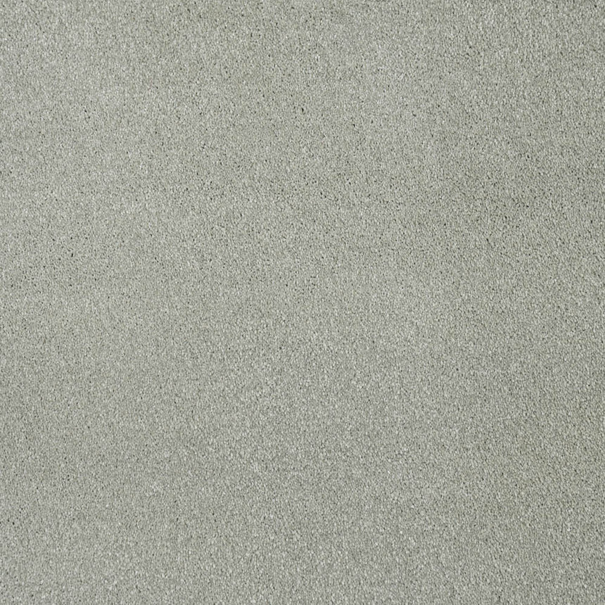 Moxie Saxony Carpet