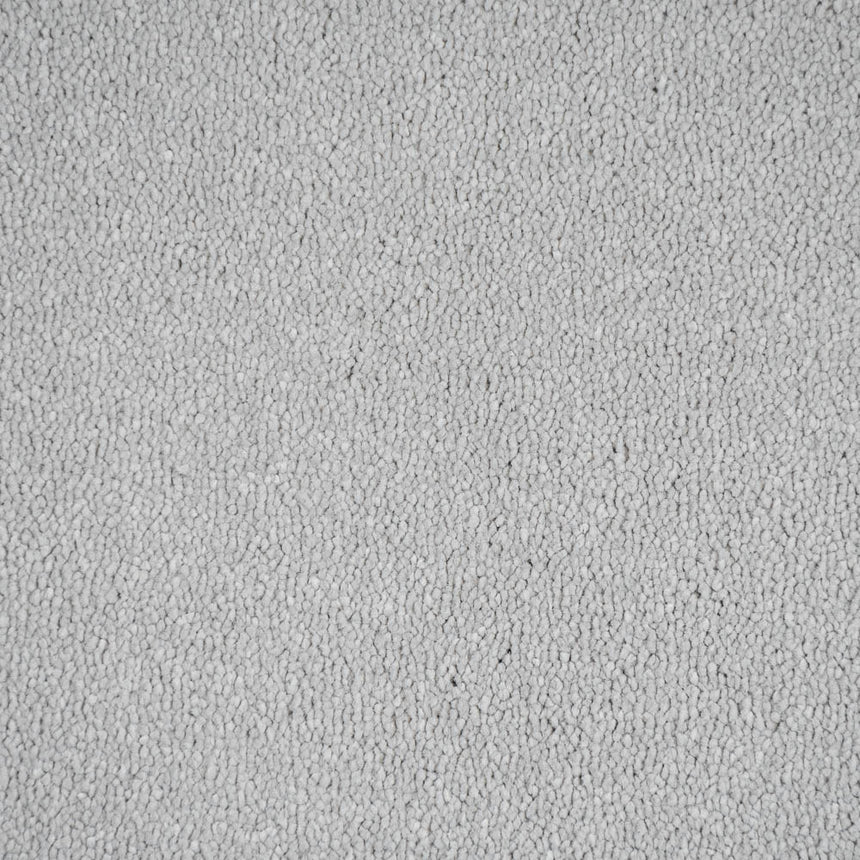 Silver Lining 90 Taurus Invictus Carpet