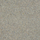 Royal Windsor Charter Berber Deluxe Carpet by Abingdon
