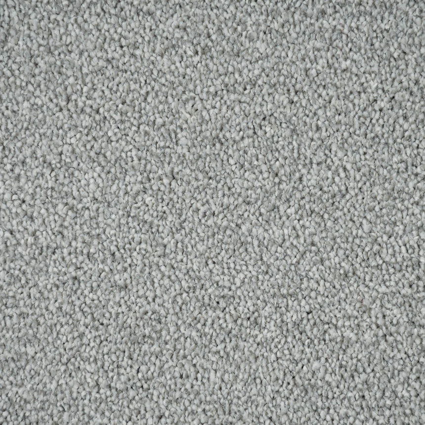 Silver Thaw 93 Darius 50oz Invictus Carpet