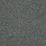 Royal Windsor Charter Berber Deluxe Carpet by Abingdon