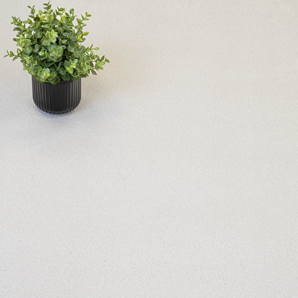 Snow White Moxie Saxony Carpet | Luxury Saxony Carpet | Online Carpets