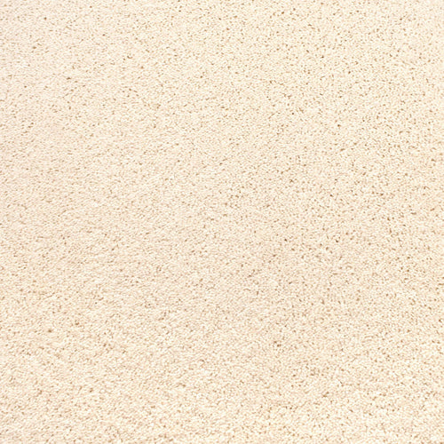Snowdrop 610 Soft Noble Actionback Carpet 4.3m x 5m Remnant