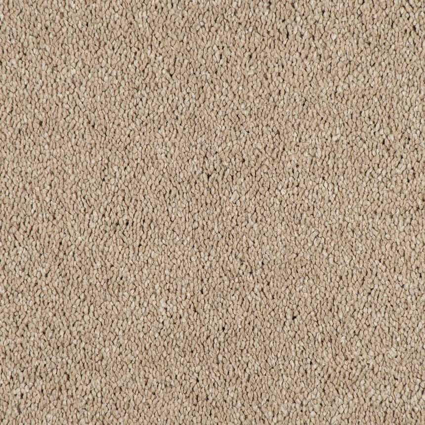 Soft Buff Velvet Dreams Love Story Carpet by Abingdon