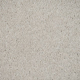 Soft Cream Dunham Saxony Carpet