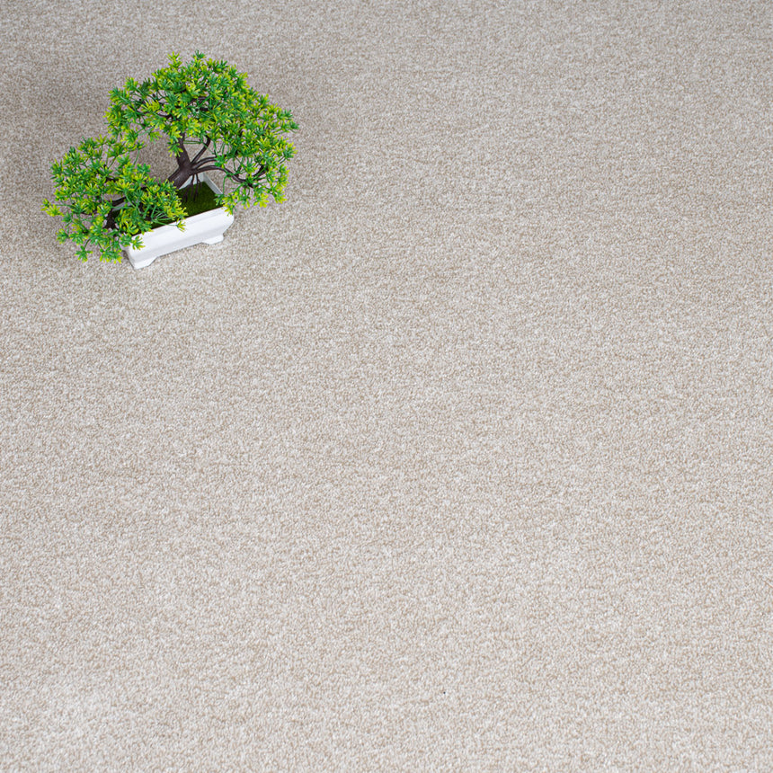 Soft Cream Haven Saxony Premium Feltback Carpet