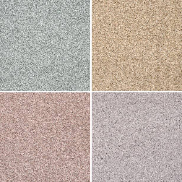 Soft Noble Saxony Carpet Clearance