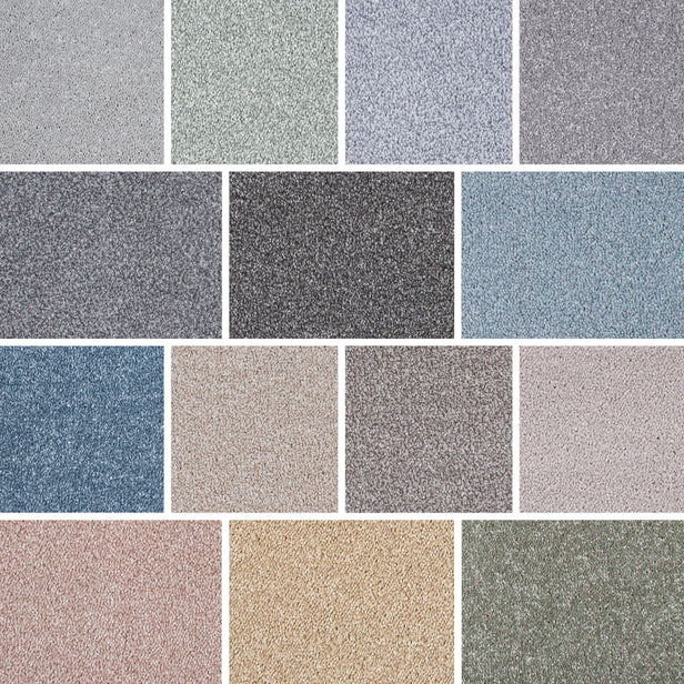 Soft Noble Saxony Carpet Clearance