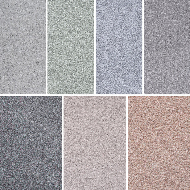 Soft Noble Saxony Carpet Clearance