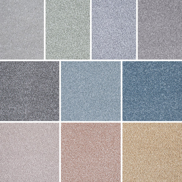 Soft Noble Saxony Carpet Clearance