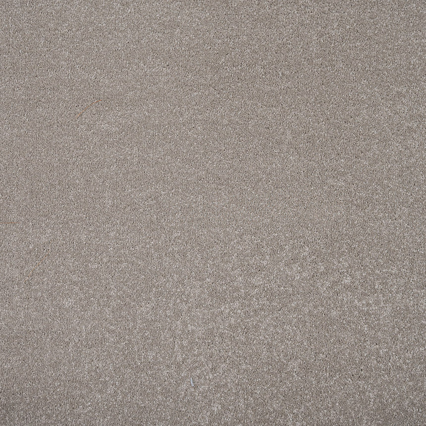 Soft Taupe Hamlet Saxony Carpet