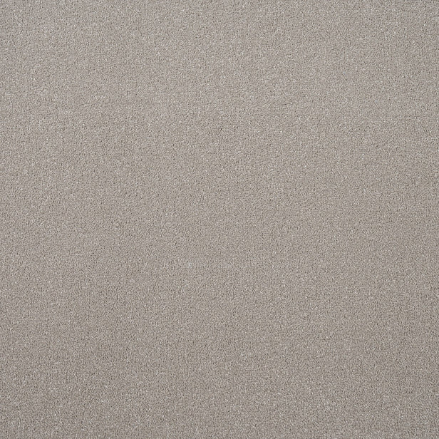 Soft Taupe Regal Saxony Carpet