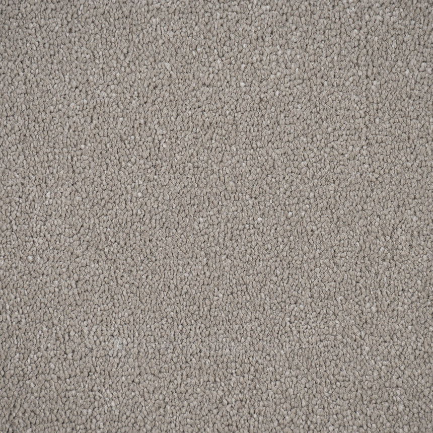 Soft Taupe Regal Saxony Carpet