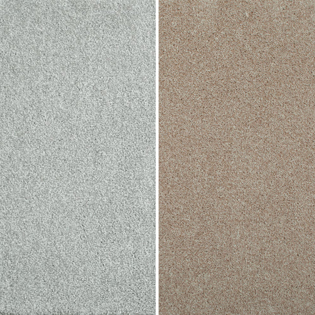 Splendid Saxony Actionback Carpet