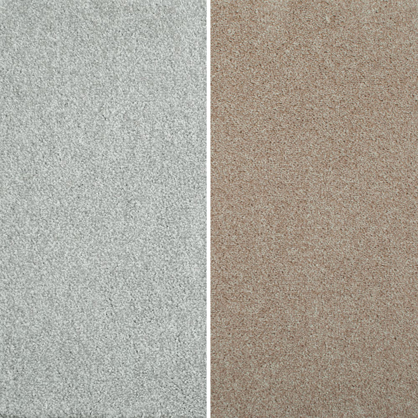 Splendid Saxony Actionback Carpet