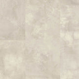 Stained Concrete MUS5491