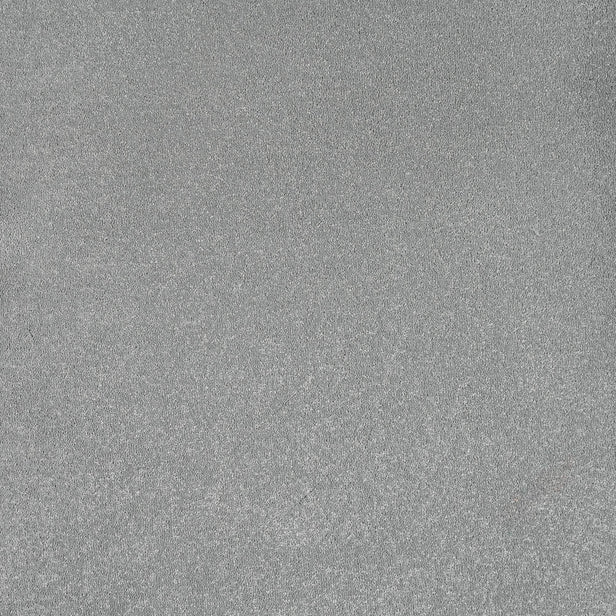 Steel 95 Aries Invictus Carpet