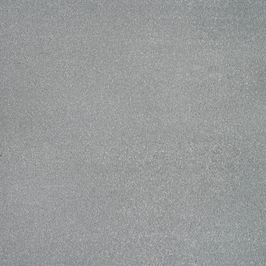 Steel 95 Taurus Invictus Carpet