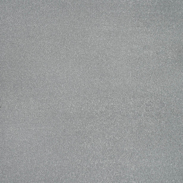 Steel 95 Taurus Invictus Carpet