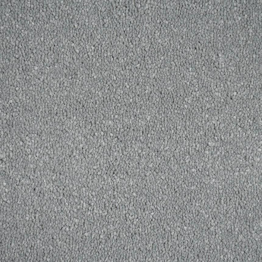 Steel 95 Taurus Invictus Carpet