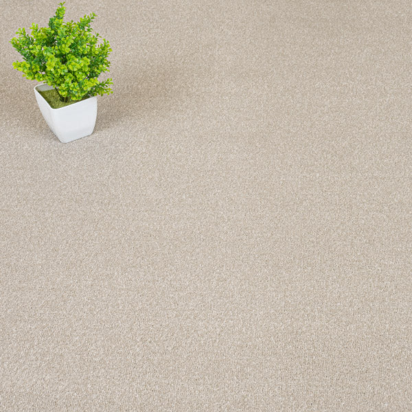 Stone 372 Revolution Supreme Twist Carpet