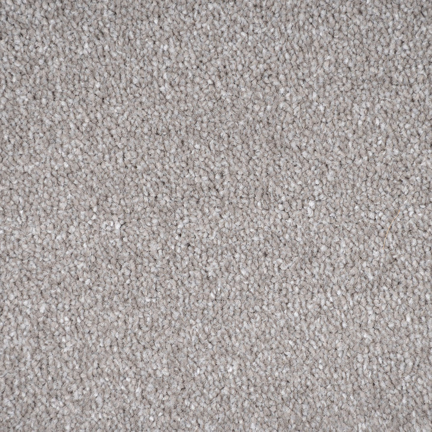 Stone Grey 675 Auckland Twist Carpet