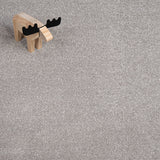 Stone Grey 675 Auckland Twist Carpet