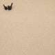 Straw Belle Twist Carpet