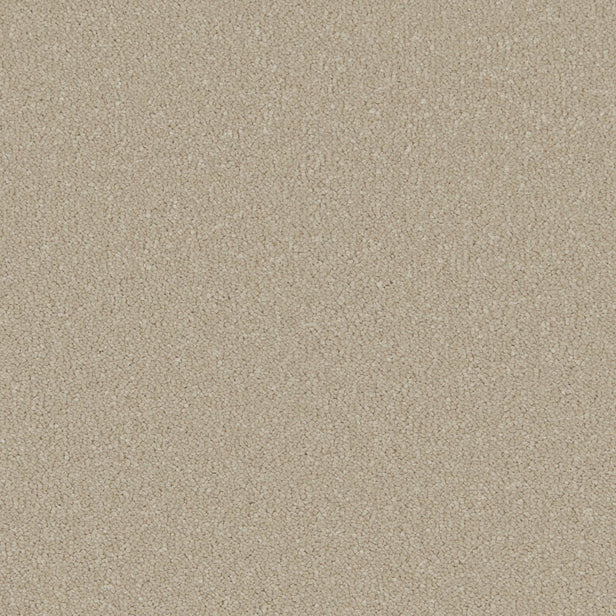 Stucco Silken Serenity Carpet by Cormar