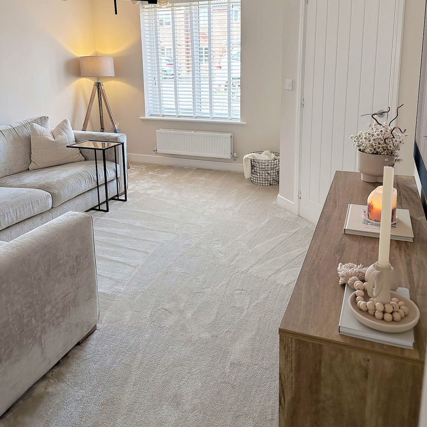 Suede 34 iSense Obsession Carpet