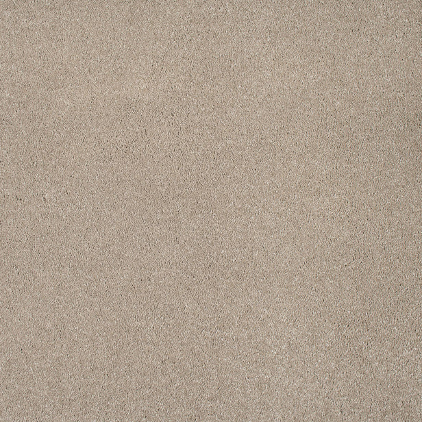 Suede 37 Sirius 70oz Invictus Carpet