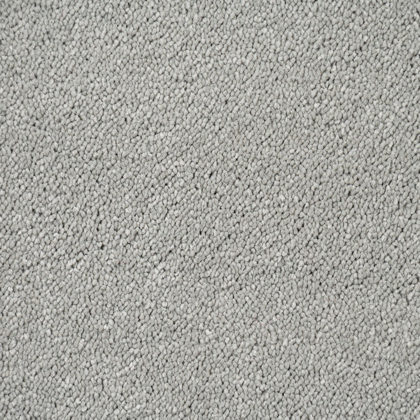 Suede Stainfree Caress Carpet by Abingdon