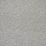 Suede Stainfree Caress Carpet by Abingdon