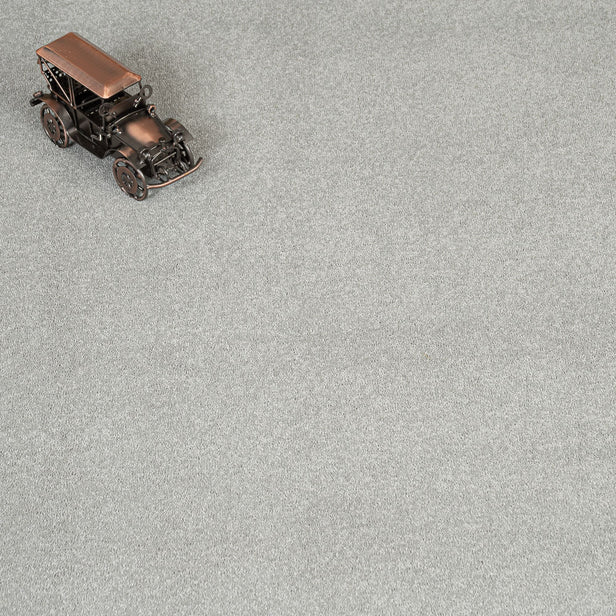 Suede Stainfree Caress Carpet by Abingdon