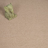 Summer Meadow Linwood 40oz Twist Carpet by Cormar