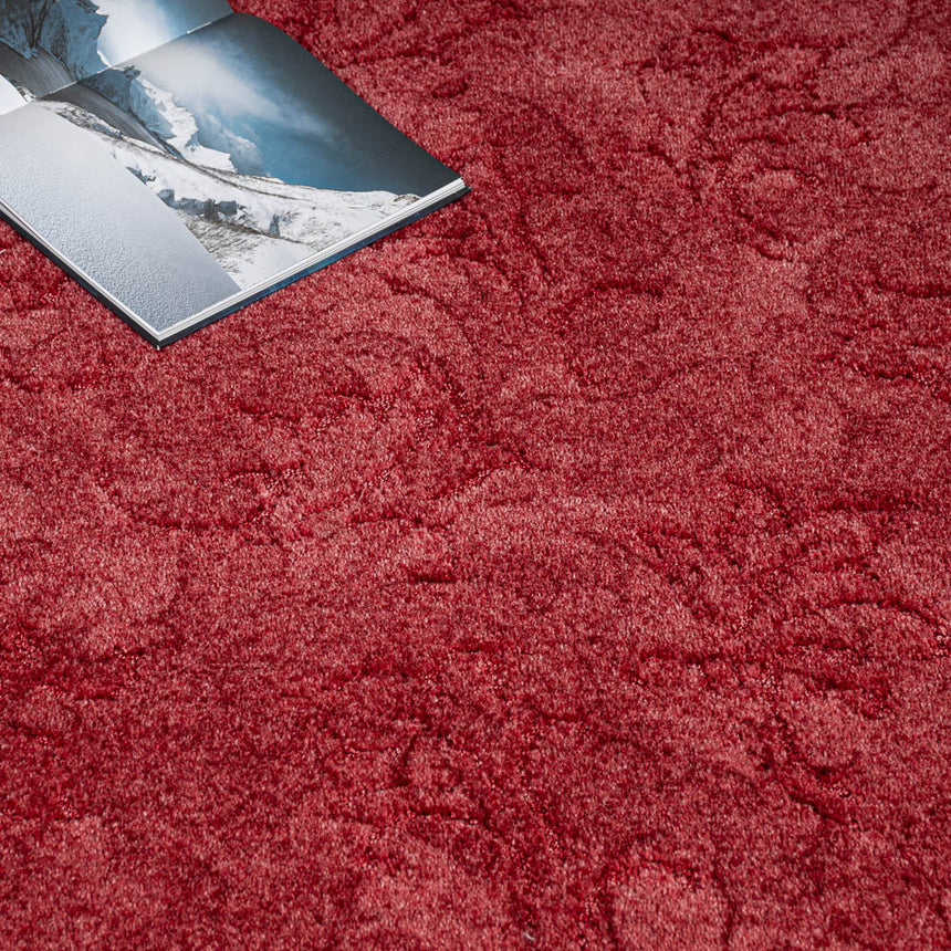 Summer Sun 10 California Dreams Carpet