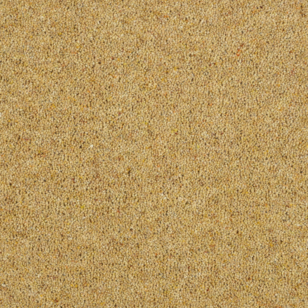 Summer Sun Royal Windsor Charter Berber Deluxe Carpet by Abingdon