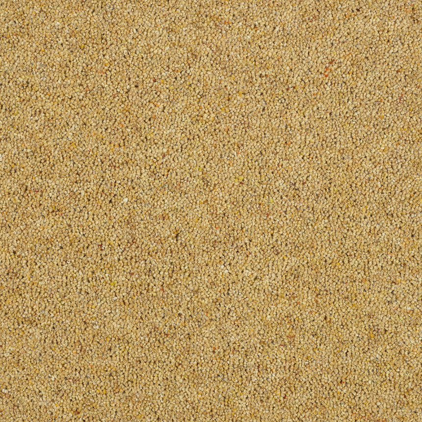 Royal Windsor Charter Berber Deluxe Carpet by Abingdon