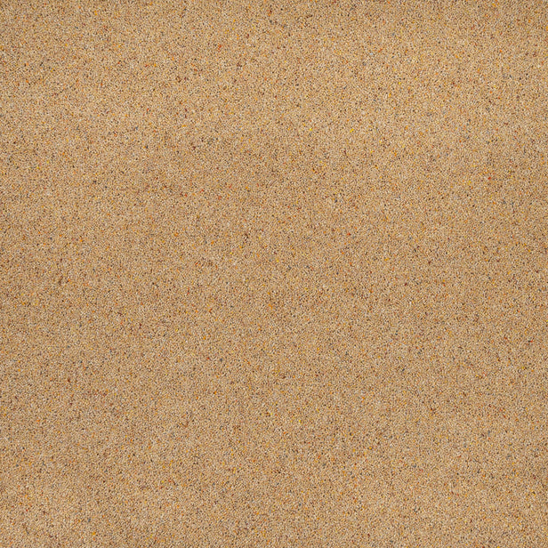 Summer Sun Wilton Royal Charter Berber Deluxe Carpet by Abingdon