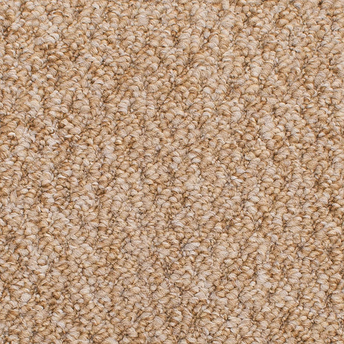 Harvest Beige Sweet Home Felt Backed Carpet 5.09m x 5m Remnant