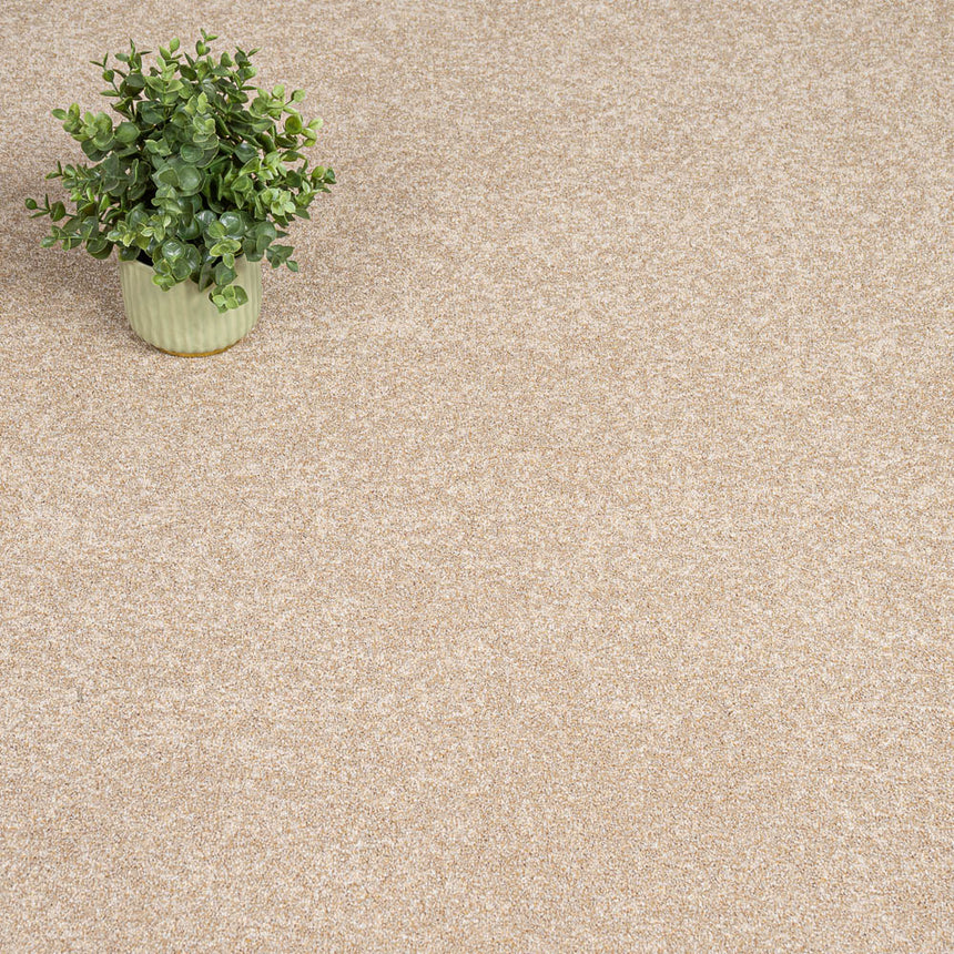 Tan Primo Naturals Carpet by Cormar