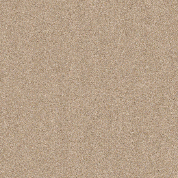 Tan Primo Naturals Carpet by Cormar