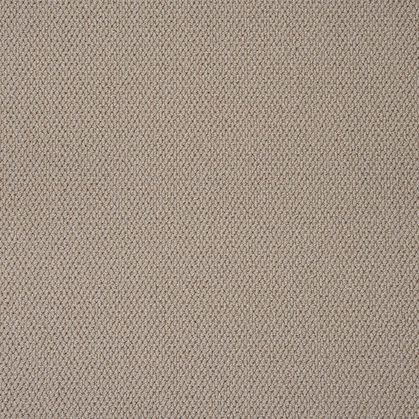 Primo Textures Loop Carpet | Buy Cormar Carpet Online | Online Carpets