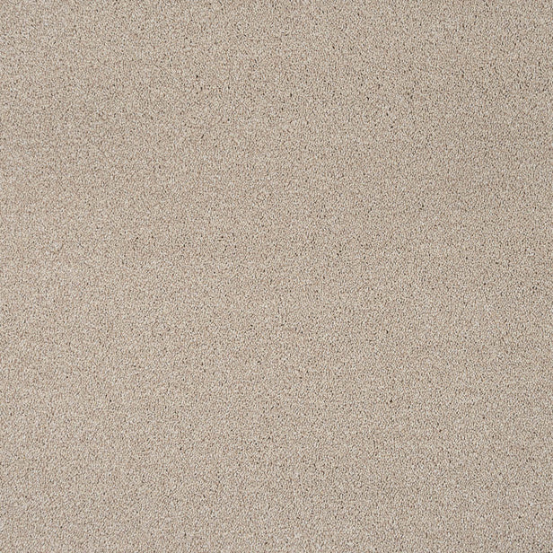 Temple 33 Cassius 70oz Invictus Carpet