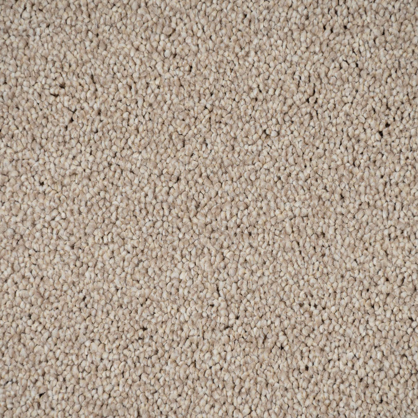 Temple 33 Cassius 70oz Invictus Carpet