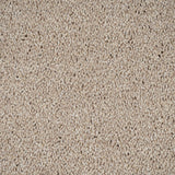 Temple 33 Cassius 70oz Invictus Carpet