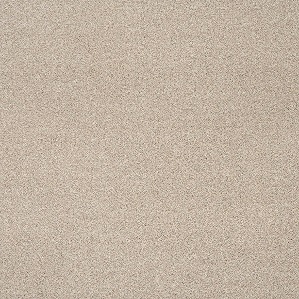 Temple 33 Darius 50oz Invictus Carpet