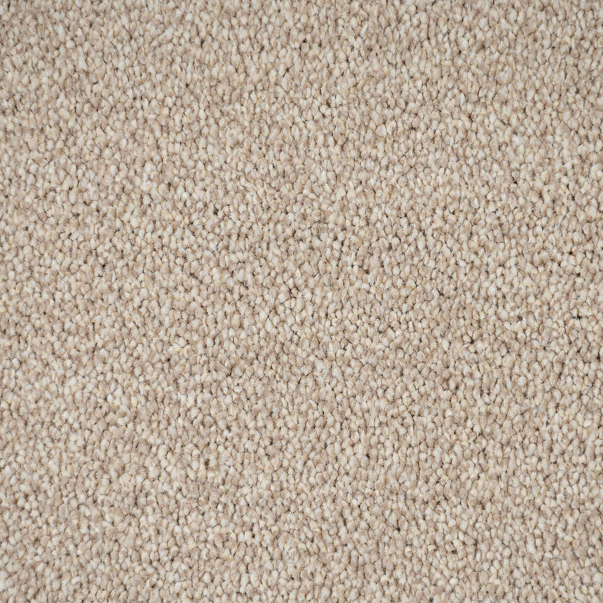 Temple 33 Darius 50oz Invictus Carpet