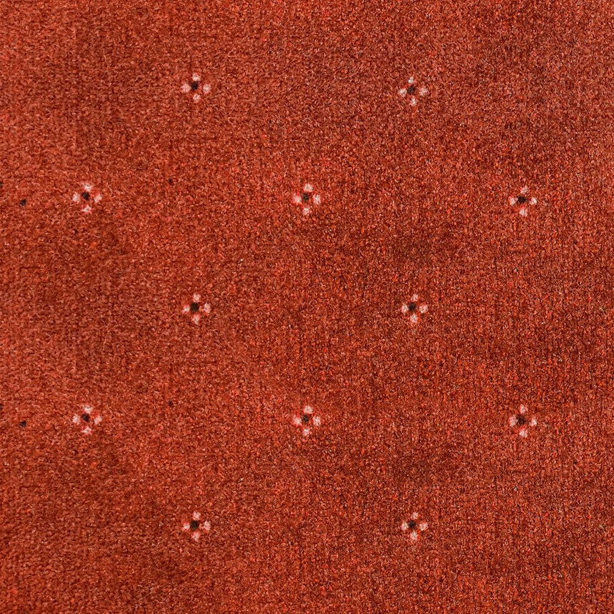 Terracotta 88 Animo Carpet 5m x 5m Remnant